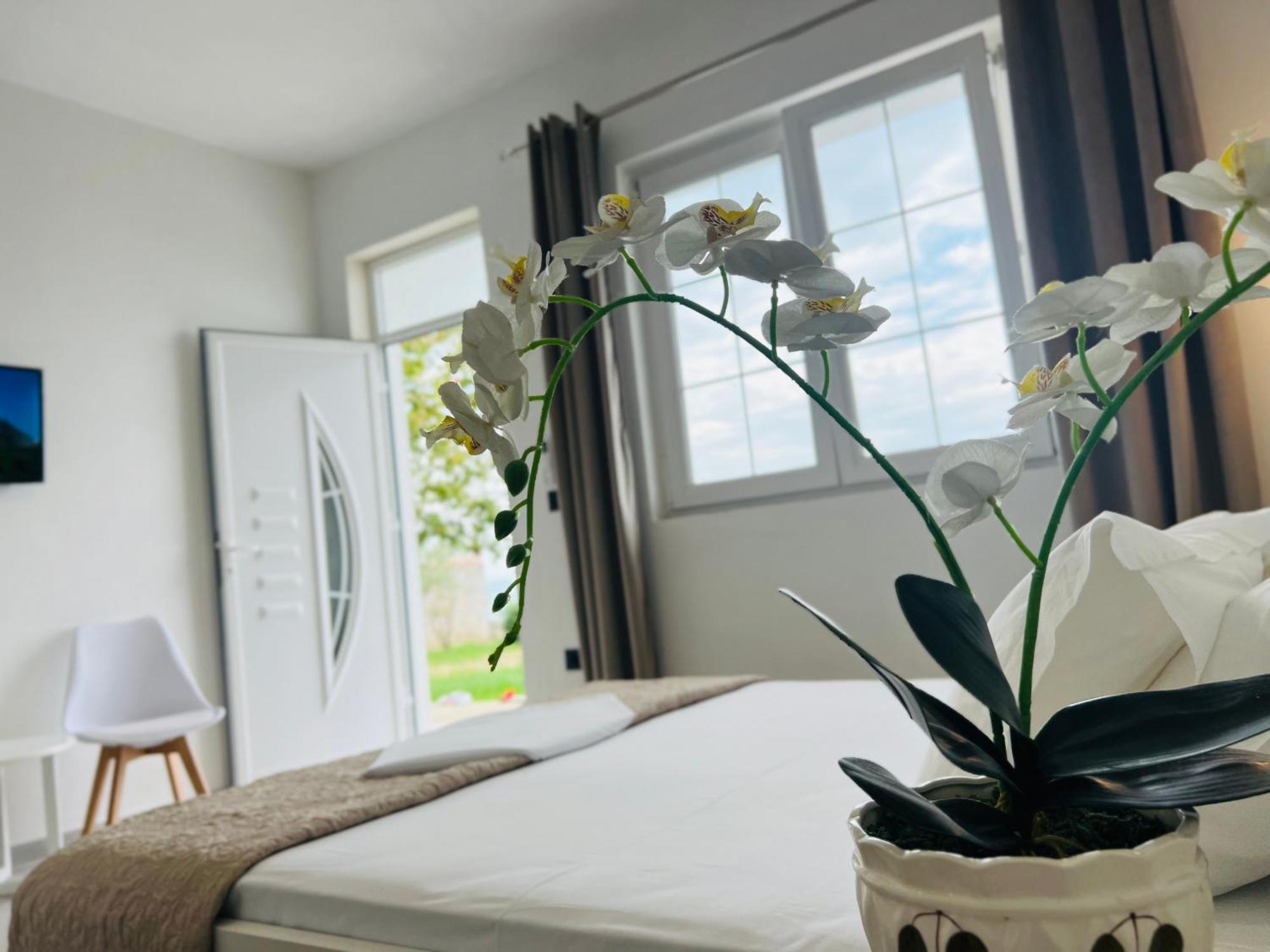 Iart Residence Široka Eksteriør bilde